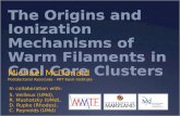 The Origins and Ionization Mechanisms of Warm Filaments in Cool Core Clusters Michael McDonald Postdoctoral Associate - MIT Kavli Institute In collaboration.