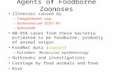 Agents of Foodborne Zoonoses Illnesses caused by –Campylobacter spp. –Escherichia coli O157:H7 –Salmonella 80-95% cases from these bacteria estimated to.