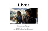 Liver Rebecca Nardi ran2101@columbia.edu. Blood Supply Lab 19, Slide 26 75% of blood supply from gut (Venous Portal system) 25% from Hepatic Artery Blood.