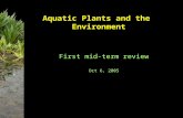 Aquatic Plants and the Environment First mid-term review Oct 6, 2005.