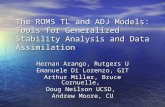 The ROMS TL and ADJ Models: Tools for Generalized Stability Analysis and Data Assimilation Hernan Arango, Rutgers U Emanuele Di Lorenzo, GIT Arthur Miller,