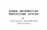 HUMAN INFORMATION PROCESSING SYSTEM OR BIOLOGICAL INFORMATION PROCESSING.