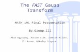 The FAST Gauss Transform MATH 191 Final Presentation By Group III Akua Agyapong, Adrian Ilie, Jameson Miller, Eli Rosen, Nikolay Stoynov.