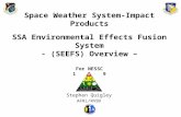 Space Weather System-Impact Products SSA Environmental Effects Fusion System - (SEEFS) Overview – For NESSC 14 Oct 2009 Stephen Quigley AFRL/RVBX.