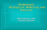 BioNetwork Biological Modeling and Analysis Microarray and Visualization.