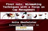 Anita Oberholster Extension Specialist in Enology Pinot noir: Winemaking Techniques with a Focus on Cap Management.