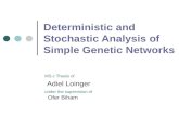 Deterministic and Stochastic Analysis of Simple Genetic Networks Adiel Loinger MS.c Thesis of under the supervision of Ofer Biham.