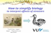 Tjalling Jager Dept. Theoretical Biology How to simplify biology to interpret effects of stressors.