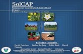 SolCAP Solanaceae Coordinated Agricultural Project Dedicated to the Improvement of Potato and Tomato Executive Commitee : David Douches Walter De Jong.