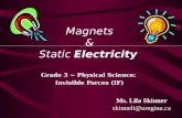 Magnets & Static Electricity Grade 3 ~ Physical Science: Invisible Forces (IF) Ms. Lila Skinner skinneli@uregina.ca.