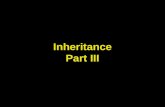 Inheritance Part III. Lecture Objectives To learn about inheritance To understand how to inherit and override superclass methods To be able to invoke.