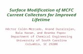 Surface Modification of MCFC Current Collectors for Improved Lifetime Héctor Colón-Mercado, Anand Durairajan, Bala Haran, and Branko Popov Department of.