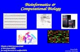 1 Bioinformatics & Computational Biology Thanks to Mark Gerstein (Yale) & Eric Green (NIH) for many borrowed & modified PPTs Drena Dobbs Iowa State University.