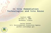 In Situ Remediation Technologies and Site Reuse ConSoil 2005 October 4, 2005 Bordeaux, France Carlos Pachon U.S. Environmental Protection Agency pachon.carlos@epa.gov.