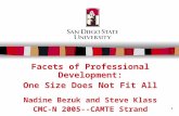 1 Facets of Professional Development: One Size Does Not Fit All Nadine Bezuk and Steve Klass CMC-N 2005--CAMTE Strand.