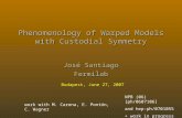 Work with M. Carena, E. Pontón, C. Wagner NPB (06) [ph/0607106] and hep-ph/0701055 + work in progress Phenomenology of Warped Models with Custodial Symmetry.