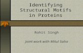 Identifying Structural Motifs in Proteins Rohit Singh Joint work with Mitul Saha.