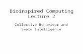Bioinspired Computing Lecture 2 Collective Behaviour and Swarm Intelligence.