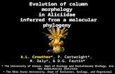 Evolution of column morphology in Aliciidae inferred from a molecular phylogeny A.L. Crowther*, P. Cartwright*, M. Daly^, & D.G. Fautin* * The University.
