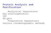 Protein Analysis and Purification Analytical Separations Gel-electrophoresis IEF 2D-gels Preparative Separations Various chromatographic methods.