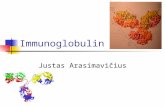 Immunoglobulin Justas Arasimavičius. Immunoglobulin Element of adaptive immune mechanism Better known as antibody It recognize the foreign objects How.