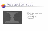Perception test What do you see in the following figure?