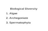 Biological Diversity 1. Algae 2. Archegoniate 3. Spermatophyta.