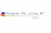 Program PAL using BP by Svilen Piralkov. Running BP Win Open BPWin from the Deskop When Registration prompt appears click “NO”