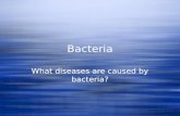 Bacteria What diseases are caused by bacteria?. Survey of Bacterial Diseases  Diseases of the skin  Staphylococcus aureus skin infections – the organisms.
