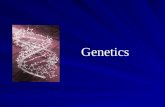 Genetics. What is DNA? (Deoxyribonucleic acid) The genetic material of all organisms.