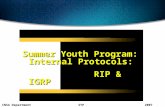 SYPCNSA Department2007 Summer Youth Program: Internal Protocols: RIP & IGRP.
