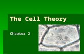 The Cell Theory Chapter 2. The Cell AAAAll living things are made of cells. CCCCells are the smallest living unit of life. EEEEach cell performs.