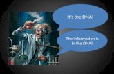 It’s the DNA! The information is in the DNA!. DNA History Griffith (1928)– Experimented on mice and observed some harmless strains of bacteria could change.