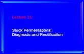 Lecture 11: Stuck Fermentations: Diagnosis and Rectification.