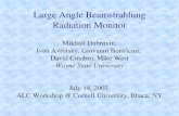 Large Angle Beamstrahlung Radiation Monitor Mikhail Dubrovin, Ivan Avrutsky, Giovanni Bonvicini, David Cinabro, Mike West Wayne State University July 14,