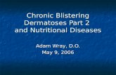 Chronic Blistering Dermatoses Part 2 and Nutritional Diseases Adam Wray, D.O. May 9, 2006.