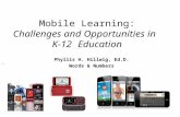 Mobile Learning: Challenges and Opportunities in K-12 Education Phyllis H. Hillwig, Ed.D. Words & Numbers.