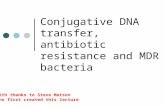 Conjugative DNA transfer, antibiotic resistance and MDR bacteria With thanks to Steve Matson Who first created this lecture.