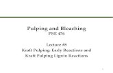 1 Pulping and Bleaching PSE 476 Lecture #8 Kraft Pulping: Early Reactions and Kraft Pulping Lignin Reactions Lecture #8 Kraft Pulping: Early Reactions.
