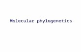 Molecular phylogenetics. Molecular phylogenetics fundamentals All of life is related by common ancestry. Recovering this pattern, the "Tree of.