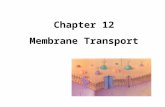 Chapter 12 Membrane Transport. Definitions Solution – mixture of dissolved molecules in a liquid Solute – the substance that is dissolved Solvent – the.