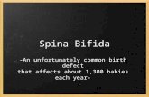 Spina Bifida -An unfortunately common birth defect that affects about 1,300 babies each year-