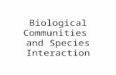 Biological Communities and Species Interaction. Important Concepts: Critical Environmental Factors Adaptation Natural Selection Speciation Ecological.