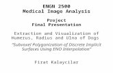 ENGN 2500 Medical Image Analysis Project Final Presentation Extraction and Visualization of Humerus, Radius and Ulna of Dogs “Subvoxel Polygonization of.