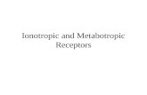 Ionotropic and Metabotropic Receptors. Recall the 2 Kinds of Synapses? Electrical 2 neurons linked together by gap junctions Function in nervous system:
