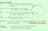 CS262 Lecture 11, Win07, Batzoglou Some Terminology insert a fragment that was incorporated in a circular genome, and can be copied (cloned) vector the.