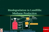 Monroe L. Weber-Shirk S chool of Civil and Environmental Engineering Biodegradation in Landfills: Methane Production