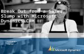 Break Out from a Sales Slump with Microsoft Dynamics CRM.