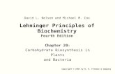 1 Lehninger Principles of Biochemistry Fourth Edition Chapter 20: Carbohydrate Biosynthesis in Plants and Bacteria Copyright © 2004 by W. H. Freeman &