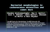 Bacterial morphologies in carbonaceous meteorites and comet dust Chandra Wickramasinghe 1, Max K. Wallis 1, Carl H. Gibson 2, Jamie Wallis 1, Shirwan Al-Mufti.